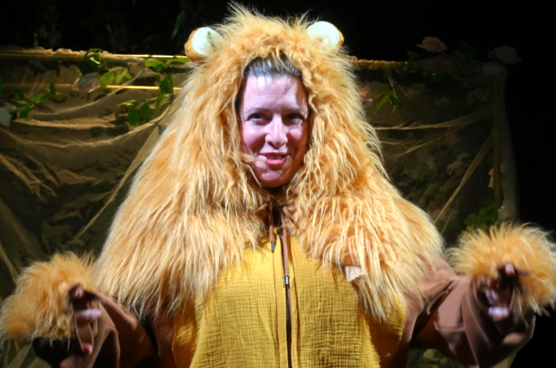 Snug as Lion