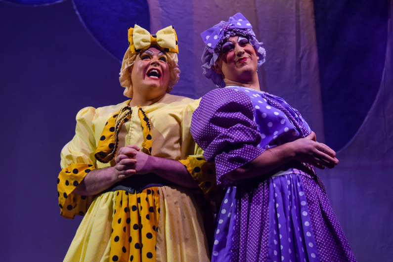 Ugly Sisters