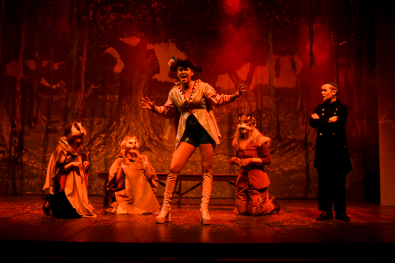Prince Charming and forest animals singing