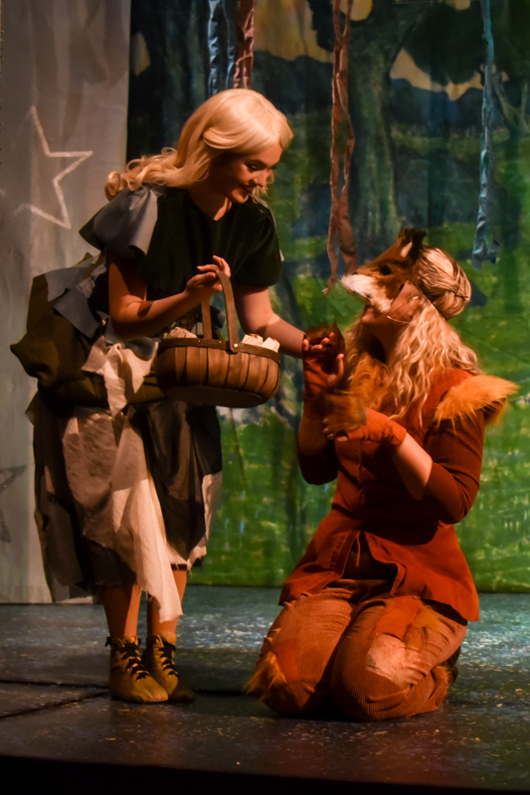 Cinderella and forest animal